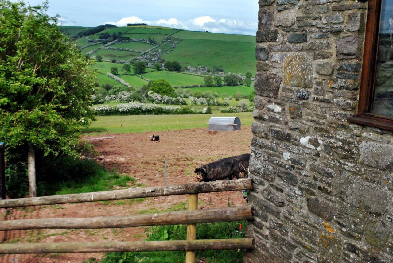 Eco Cottage Joe The Buck Craven Arms Bagian luar foto