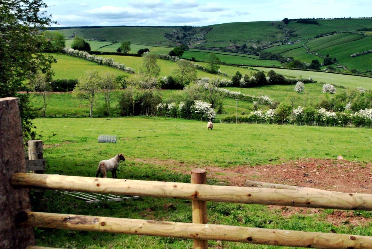 Eco Cottage Joe The Buck Craven Arms Bagian luar foto