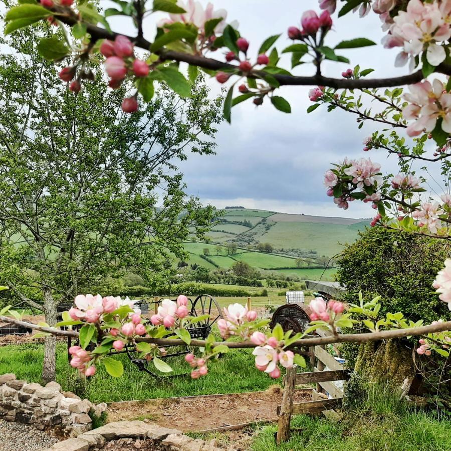 Eco Cottage Joe The Buck Craven Arms Bagian luar foto