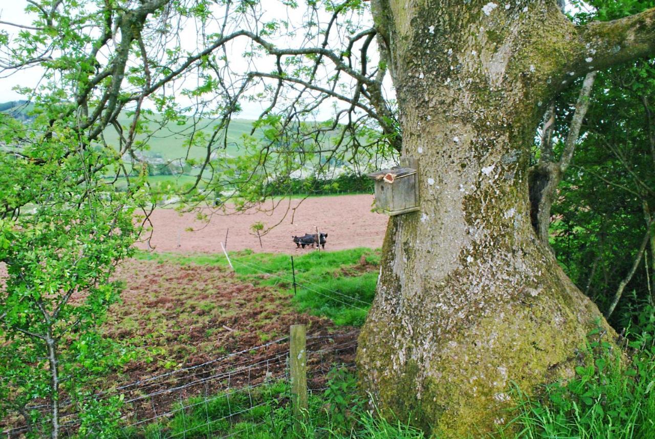 Eco Cottage Joe The Buck Craven Arms Bagian luar foto