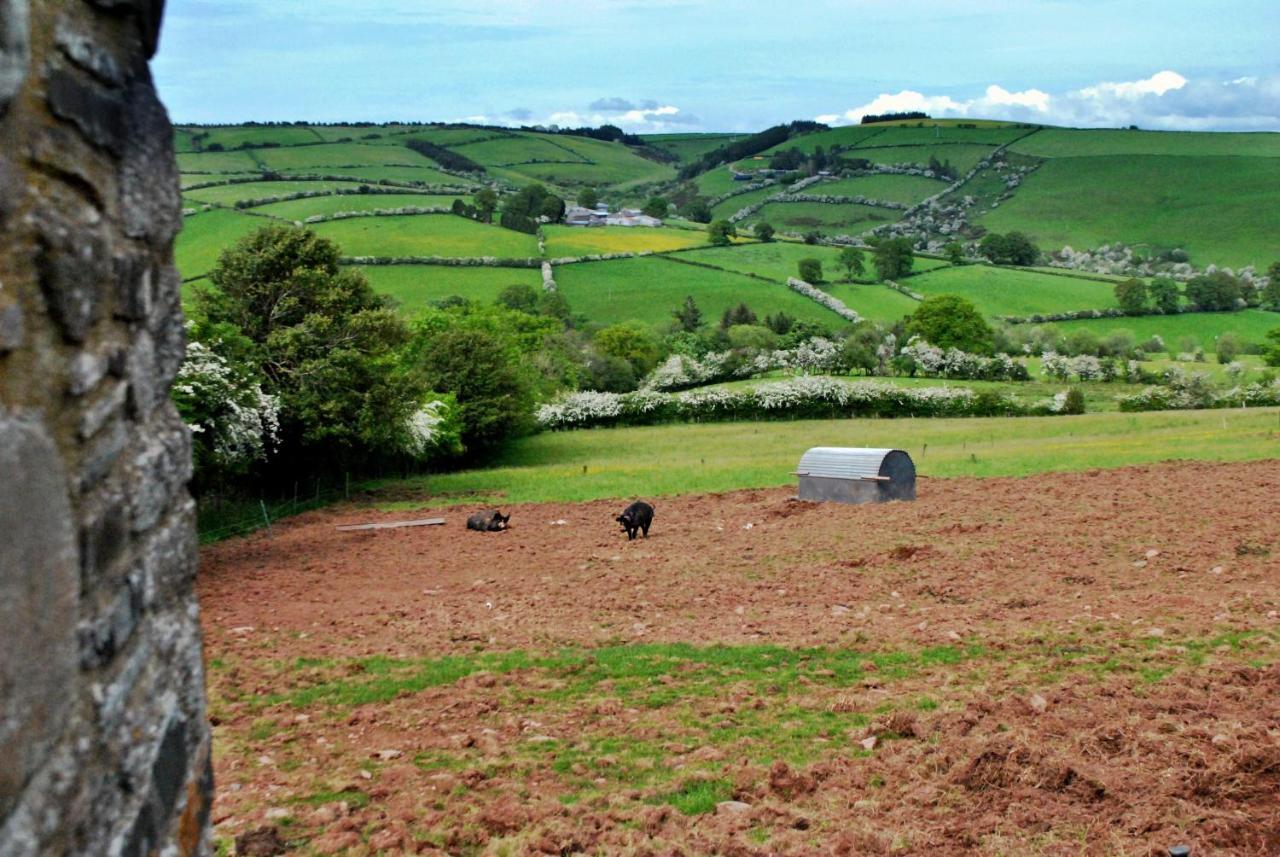 Eco Cottage Joe The Buck Craven Arms Bagian luar foto
