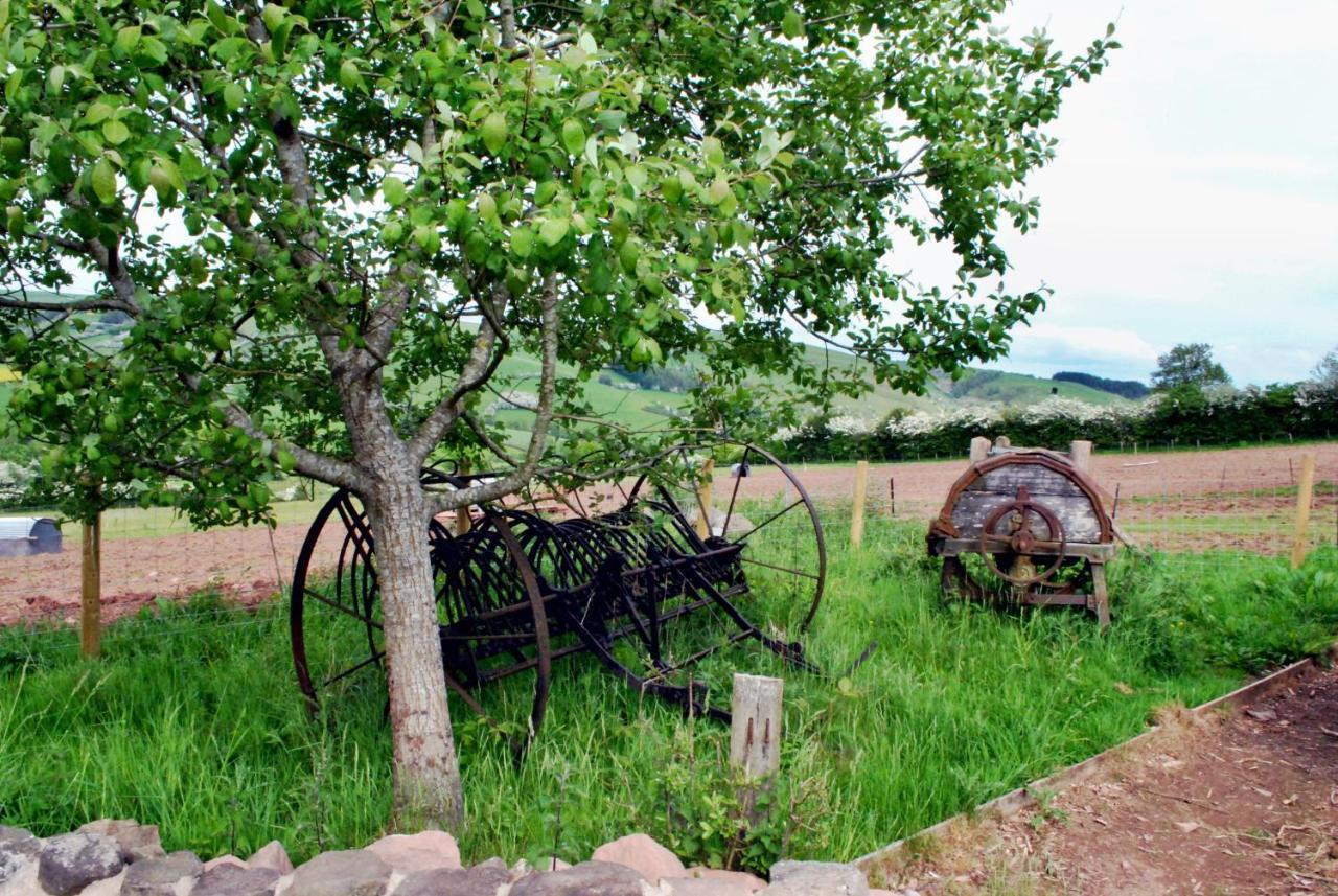 Eco Cottage Joe The Buck Craven Arms Bagian luar foto