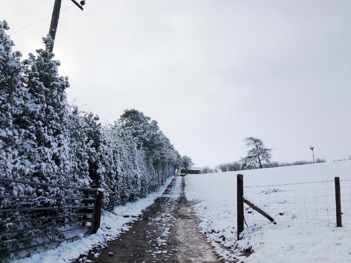Eco Cottage Joe The Buck Craven Arms Bagian luar foto