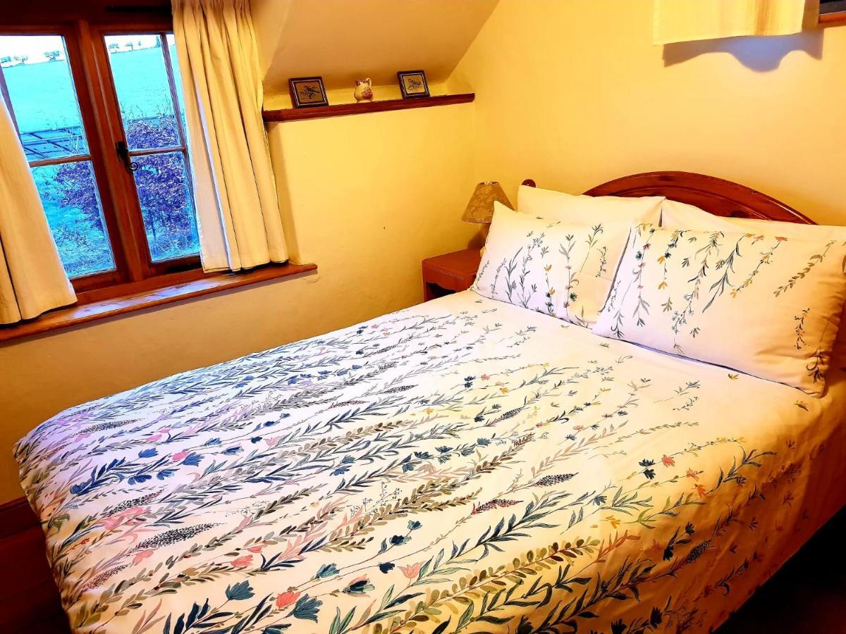 Eco Cottage Joe The Buck Craven Arms Bagian luar foto