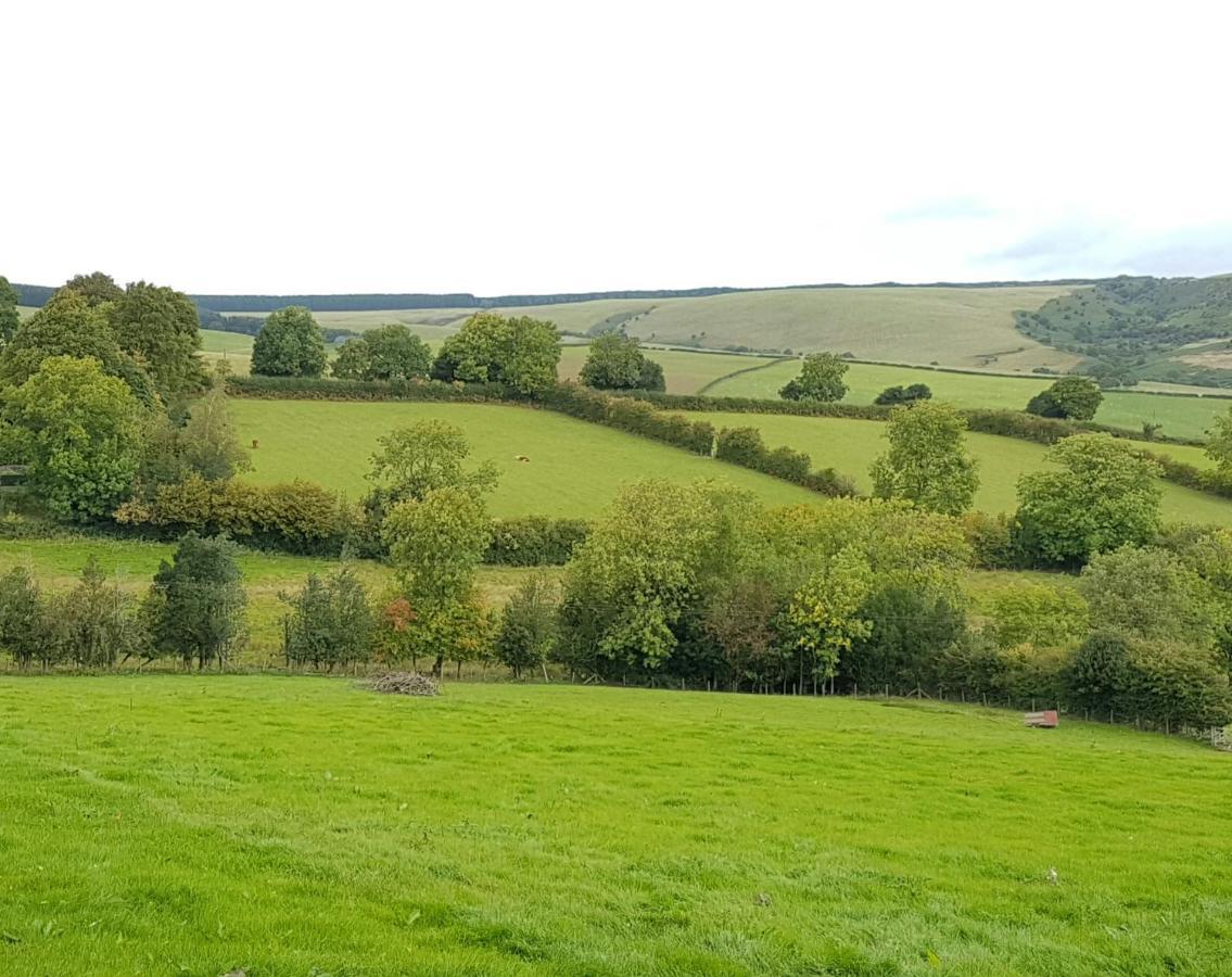 Eco Cottage Joe The Buck Craven Arms Bagian luar foto