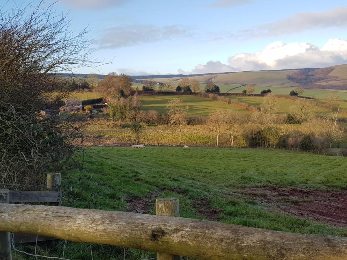 Eco Cottage Joe The Buck Craven Arms Bagian luar foto
